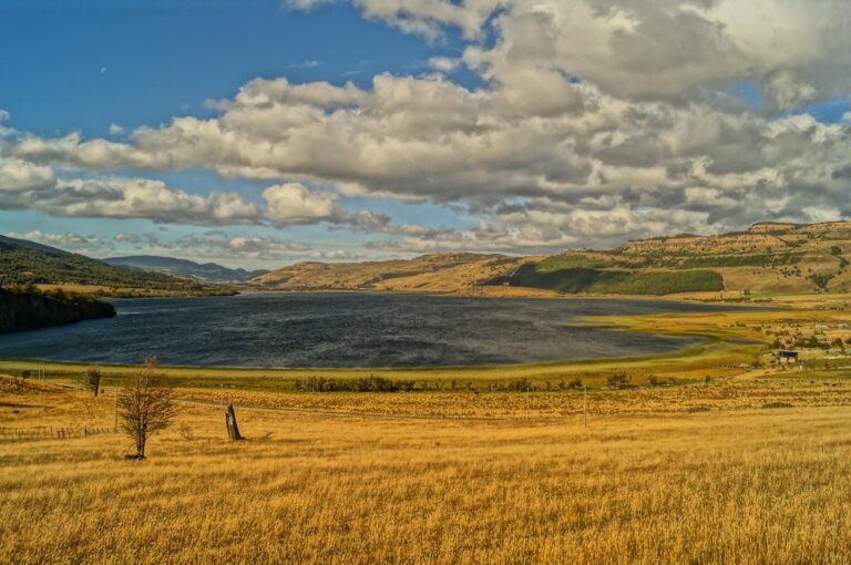 Patagonia – Articolo 1