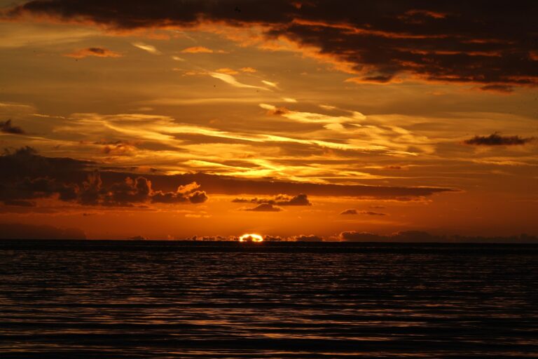 Tramonto – Articolo 4